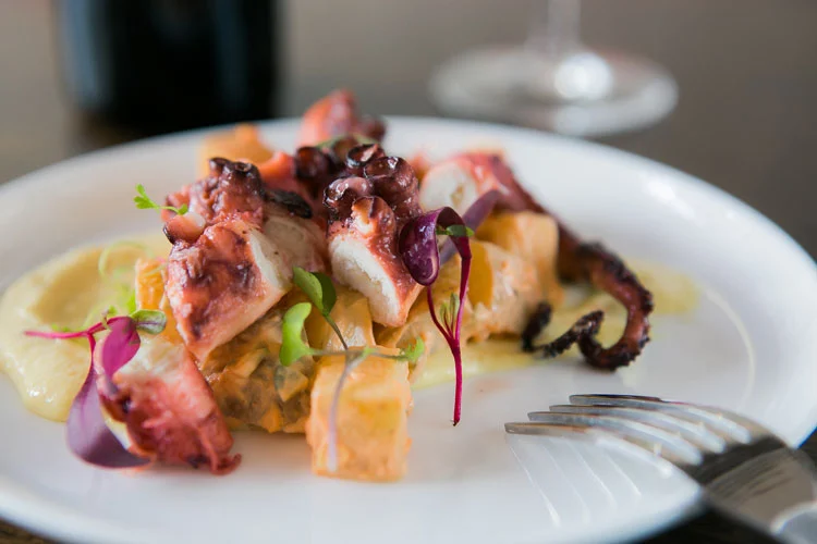 Bar Marco signature dishes The menu changes seasonally, but often features house-made pasta, risotto, and creative vegetable dishes.